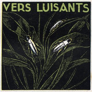 Phosphorescence : verts lumineux. Illustration anonyme de 1925. Collection privée. - Anonymous Anonymous