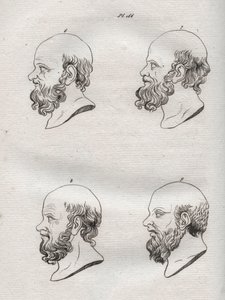 Physionomie - Physiognomonie - Plusieurs têtes du philosophe grec Socrate (ca. 469 av. J.-C.-399 av. J.-C.) (Buste de Socrate (ca 469 av. J.-C.-399 av. J.-C.), philosophe athénien) gravure de 1808 dans L