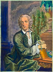 Portrait de Carl Von Linné (1707-1778) naturaliste suédois (collection privée) - Anonymous Anonymous