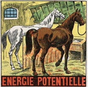 Énergie potentielle : chevaux se reposant dans une écurie. Illustration anonyme de 1925. Collection privée.
