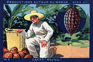 Productions autour du monde : Cacao au Mexique. Chromolithographie de 1933 dans « Joseph-Milliat Album »