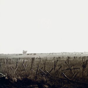 Plaque de verre stéréoscopique sur la Première Guerre mondiale