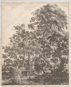 Petit pont sur un ruisseau