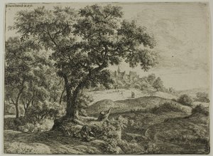 La lisière de la forêt