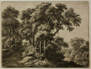 Le sentier boisé - Anthonie Waterloo