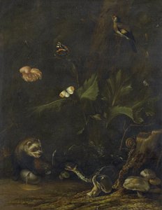 Animaux et plantes - Anthonie van Borssom