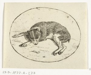 Chien couché