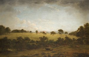 Tabley : le parc avec une vue lointaine de la maison - Anthony Devis