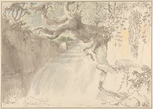 Cascade et Tronc d