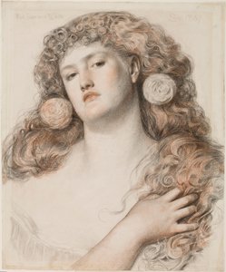 Rose rouge et blanche, 1867