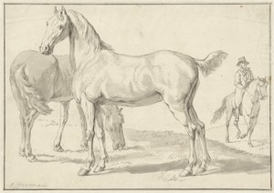 Deux chevaux dans un pré, à droite un cavalier - Anthony Jacobus Offermans