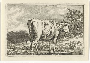Vache debout dans une flaque Vaches (titre de la série)
