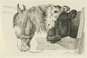 Tête de cheval et tête de taureau