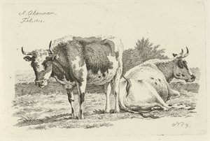 Vache debout et couchée