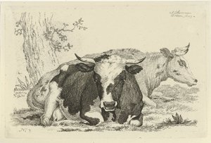Deux vaches couchées devant un arbre