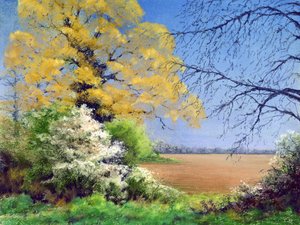 Hiver de prunellier, 2003
