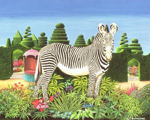 Zèbre dans un jardin, 1977 - Anthony Southcombe