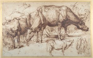 Bétail dans le pâturage, vers 1618-20 - Anthony van Dyck