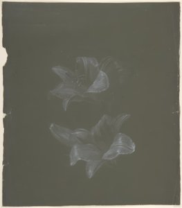 Motif floral