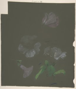 Motif Floral