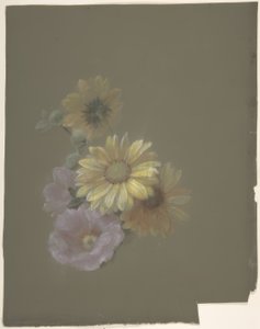 Marguerites jaunes et églantine rose - Antoine Berjon