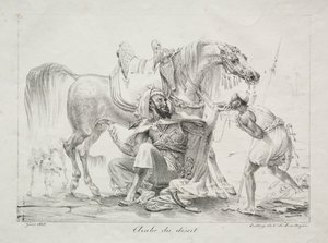 Arabe du désert