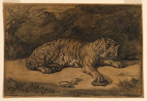 Un tigre et une tortue