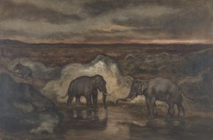 Éléphants près d
