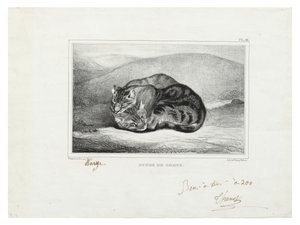 Étude de chats - Antoine Louis Barye
