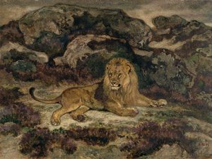 Lion allongé