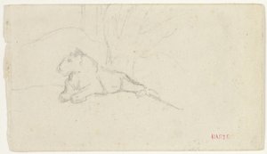 Lionne couchée près d