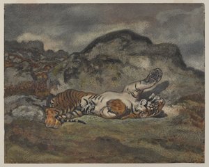 Tigre roulant