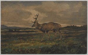 Cerf marchant - Antoine Louis Barye