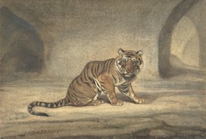 Tigre, 1810-1875
