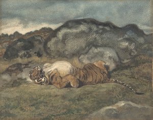 Tigre se roulant sur le dos