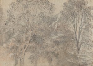 Cimes des arbres [verso] - Antoine Watteau