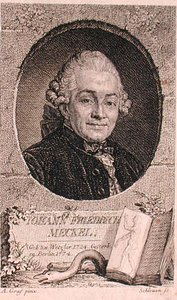 Portrait de Johann Friedrich Meckel (1724-76) gravé par John Schleuen (fl.1740-74) - Anton (after) Graff