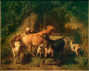 Jeunes bovins et chèvres