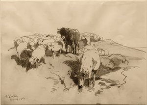 Vaches et moutons