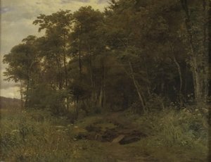 Un bosquet de sureaux