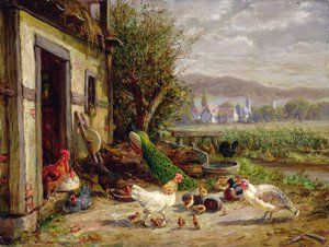 Poules, canards et un paon près d