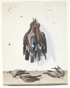 Nature morte avec oiseaux