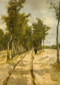 De Torenlaan à Laren