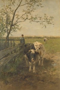 Le virage du lait