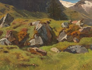 Étude des roches à Ferleiten