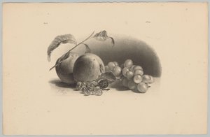 Pommes, baies, mûre et raisins (3e épisode de la série 