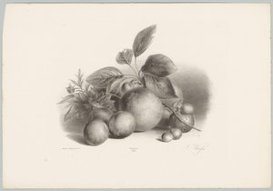 Fleurs, nectarines et noisettes (Bloem en Fruit Studien, 10e aflevering) - Anton Weiss