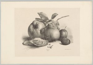 Fruits, prunes et huîtres (Bloem en Fruit Studien, 10e aflevering) - Anton Weiss