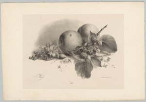 Pêches, baies, noisettes et mûres (Bloem en Fruit Studien, 10e aflevering) - Anton Weiss