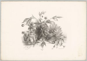 Roses, dahlias et fuchsias (Bloem en Fruit Studien, 10e aflevering)